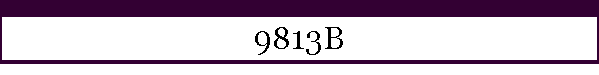 9813B