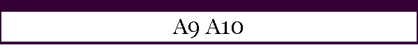 A9 A10